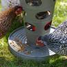 Beeztees Chicken Feeding Tower - Convenient & Eco-Friendly