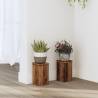  Plant Stands 2 pcs Old Wood 10x10x18 cm Engineered Wood Colour old wood Size 10 x 10 x 18 cm Quantity in Package 2 