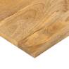 Rectangular Solid Wood Mango Table Top - 50x20x2.5 cm