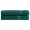  Premium Towels SOLUND 2 pcs Green 100x200 cm 600 gsm Colour green Size 100 x 200 cm Quantity in Package 2 