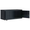 File Cabinet Anthracite 90x40x145 cm Steel - Stylish & Durable