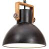 Industrial Hanging Lamp 25 W Black Round 30 cm E27