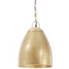 Industrial Hanging Lamp 25W Brass Round 32cm E27 - Hipo Market