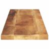 Rectangular Solid Wood Table Top - 100x20x2.5 cm