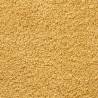 Premium Gold Guest Towels SOLUND 10pcs | 30x50cm, 600gsm