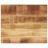  Table Top 60x50x2.5 cm Rectangular Solid Wood Rough Mango Colour rough mango wood(natural) Size 60 x 50 cm Quantity in Package 1 Thickness 25 mm 