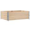 Pallet Collars 2 pcs 120x80 cm Solid Wood Pine | Hipo Market