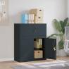  File Cabinet Anthracite 90x40x110 cm Steel Colour anthracite Size 90 x 40 x 110 cm Quantity in Package 1 Number of 