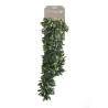 Emerald Artificial Crassula 80 cm Quantity in Package 1 Type crassula 