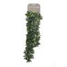 Emerald Artificial Crassula 80 cm - Lifelike Indoor Plant