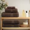 Premium SOLUND 10pcs Bath Towels Brown 100x150cm 600gsm