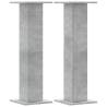 Concrete Grey Speaker Stands - Durable & Stylish 2 pcs | HipoMarket