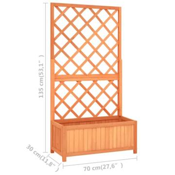 Garden Trellis Planter Brown 70x30x135 cm - Solid Firwood