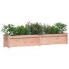 Garden Planters 2 pcs Solid Wood Douglas | Hipomarket