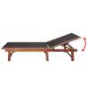 Sun Loungers Set - 2 pcs Acacia Wood & Textilene | HIPO Market