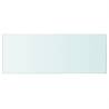 Clear Glass Shelves - Set of 2, 60x25 cm | Hipo Market