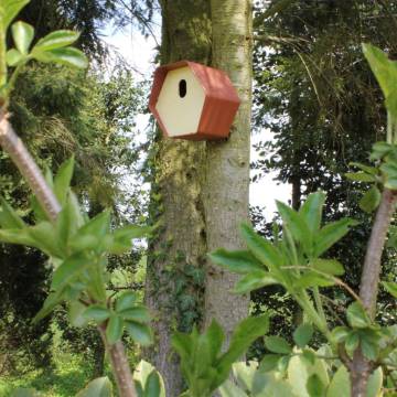 Capi Bird House Hive 2 - Oval Hole, Brown - 19x23x20 cm