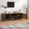 Stylish Smoked Oak TV Cabinet - 110x40x35 cm | HipoMarket