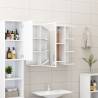 Stylish Bathroom Mirror Cabinet White - 80x20.5x64 cm