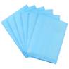 Pet Training Pads - 400 pcs 60x45 cm Non Woven Fabric