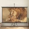 100" Projection Screen 16:9 - Perfect for Home & Office