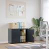 File Cabinet Anthracite 90x40x70 cm Steel - Durable & Stylish