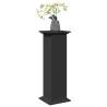 Display Stand with Storage - Black Engineered Wood 31x30x90 cm