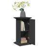 Display Stand with Storage - Black Engineered Wood (31x30x60 cm)