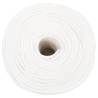 Boat Rope Full White 10mm - 100m Durable Polypropylene