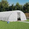  Greenhouse with Steel Frame White 70 m² 14x5x2.3 m Colour white Size 14 x 5 x 2.3 m Quantity in Package 1 