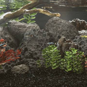 Volcanic Rocks 10 kg Black - Natural Aquarium & Landscaping Decor