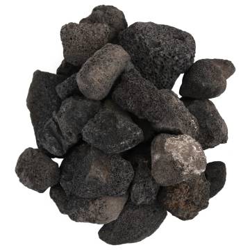 Volcanic Rocks 10 kg Black 5-8 cm for Aquariums & Gardens