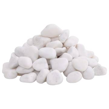 Polished Pebbles 25 kg White - Perfect for Aquariums & Gardens