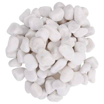 Polished Pebbles 25 kg White - Perfect for Aquariums & Gardens