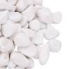 Polished Pebbles 25 kg White - Perfect for Aquariums & Gardens