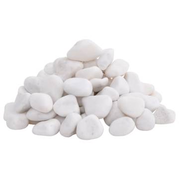 Polished Pebbles 25kg White 2-5cm - Natural & Decorative Stones