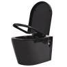 Wall Hung Toilet with Concealed Cistern - Black Ceramic