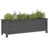 Garden Raised Bed Grey 119.5x40x39 cm Solid Pine Wood - HiPo Market