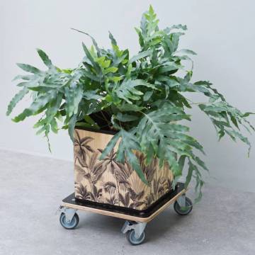 Nature Plant Trolley 38x38 cm | Black Wood Caddy