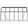 Anthracite Aluminium Greenhouse 7.03 m² - Durable & Spacious