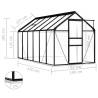 Anthracite Aluminium Greenhouse 7.03 m² - Durable & Spacious