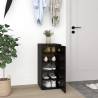 Shoe Cabinets 2 pcs Black - Stylish Storage Solution