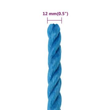 Durable 12mm Blue Work Rope - 25m Polypropylene - HipoMarket UK