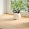 Window Sills 2 pcs Untreated Solid Oak - 80x15x2 cm