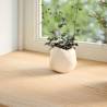 Solid Wood Oak Window Sills - 2 pcs Untreated | HipoMarket