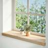 2 Pcs Untreated Solid Oak Window Sills | Hipomarket