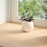 Solid Oak Window Sills 2 pcs - Natural & Durable Design