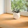 Light Brown Solid Oak Window Sills 2 pcs - 110x15x2 cm