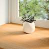 Light Brown Solid Wood Oak Window Sills - 2 pcs | HipoMarket