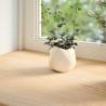 Untreated Solid Oak Window Sills 2 pcs | 100x15x2 cm